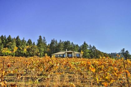 Chic Willamette Valley Home with Deck and Vineyard - image 6