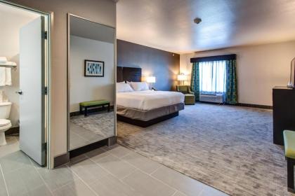 Holiday Inn Express & Suites Gatesville - N. Ft Hood an IHG Hotel - image 3