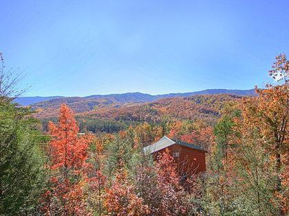 Cajun Hideaway Holiday home - image 3