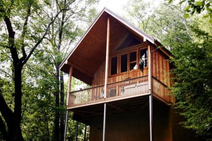 Bear Country Cabin 2 Bedrooms Sleeps 6 Private Foosball Hot Tub - image 4