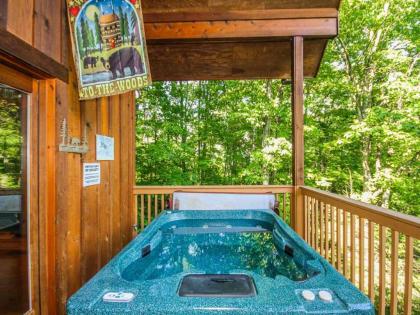 Bear Country Cabin 2 Bedrooms Sleeps 6 Private Foosball Hot Tub - image 5