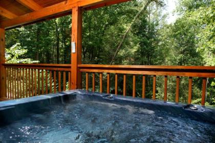 Bear's Den 2 Bedrooms Jetted Tub King Beds Hot Tub WiFi Sleeps 6 - image 3