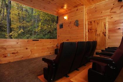 Bear's Eye View 4 Bedrooms Sleeps 14 Home Theater Gaming Hot Tub - image 5