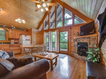 Holiday homes in Gatlinburg Tennessee