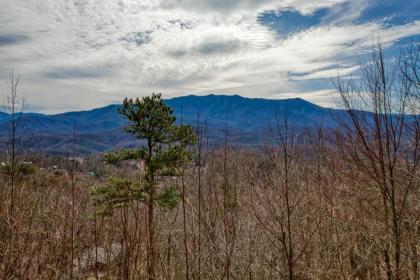 Kears mountain magic 1 Bedroom Hot tub Grill Jetted tub Sleeps 2 Gatlinburg Tennessee