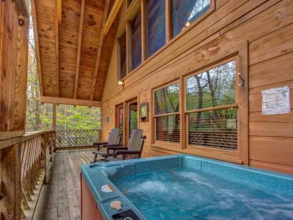 Above Ole Smokys Clouds 1 Bedroom Hot tub WiFI Pets Sleeps 4