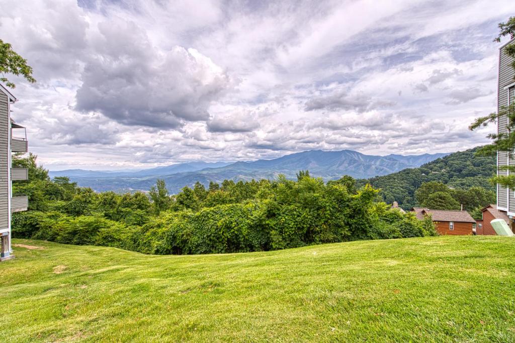 Summit Lookout - image 5