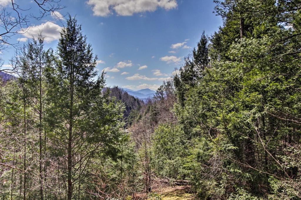 Secluded Mtn-View Cabin with Deck 2Mi to Gatlinburg - image 5