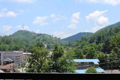 Gatlinburg Chateau 3B - image 12