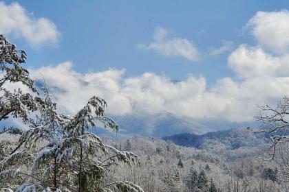 Cozy Cabin with Mtn Views - 5 Miles to SkyLift Park! - image 3