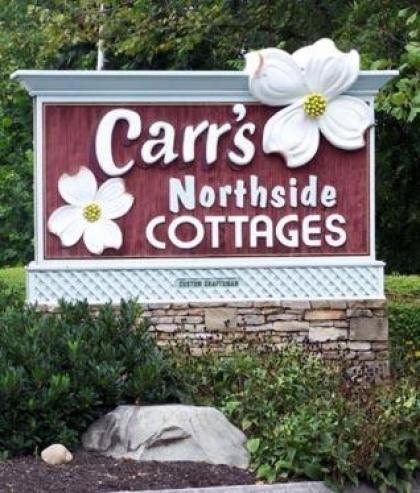 Carr's Northside Hotel and Cottages - image 3