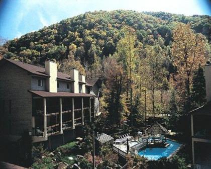 Secluded Family Condo in the Beauty of the Smokies   One Bedroom #1