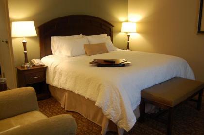 Hampton Inn Geneseo - image 11