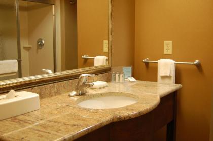 Hampton Inn Geneseo - image 12