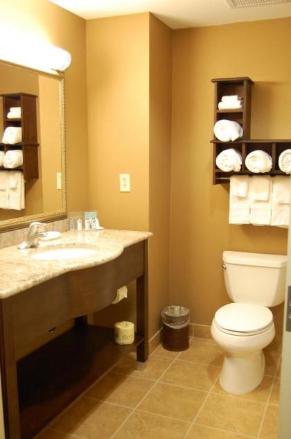 Hampton Inn Geneseo - image 14