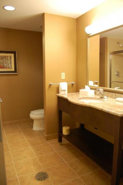 Hampton Inn Geneseo - image 8