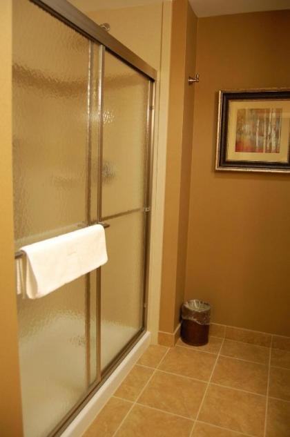 Hampton Inn Geneseo - image 9