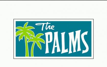 The Palms Motel - image 1