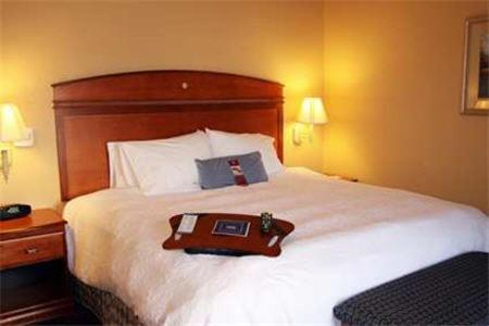 Hampton Inn Geneva - image 2