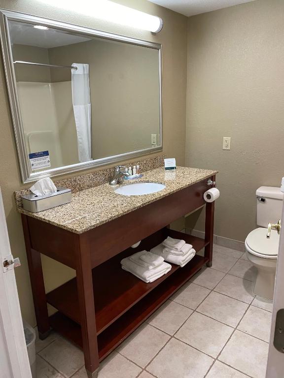 Quality Inn & Suites Georgetown - Seaford - image 3