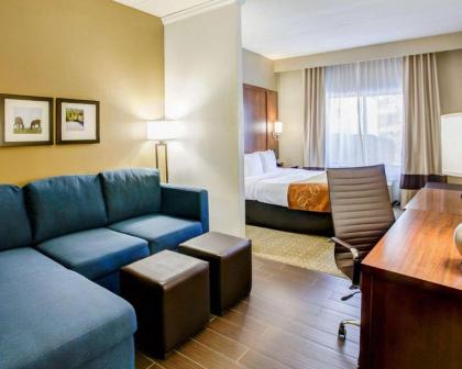 Comfort Suites Georgetown - image 15