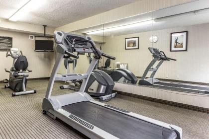 Quality Inn & Suites Georgetown - image 15