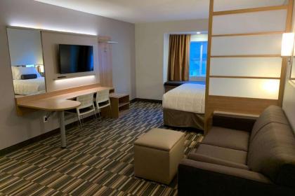 Microtel Inn & Suites by Wyndham Georgetown Lake - image 2