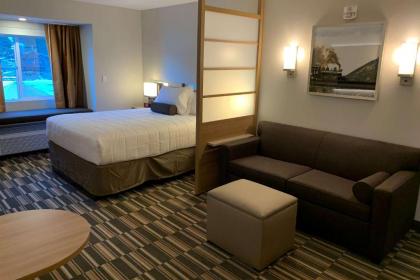 Microtel Inn & Suites by Wyndham Georgetown Lake - image 4