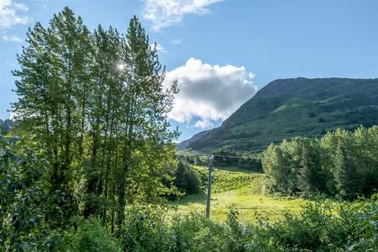 Alyeska Retreat C110 - image 2