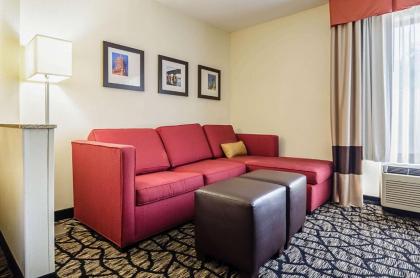 Comfort Suites Innsbrook - Short Pump - image 11