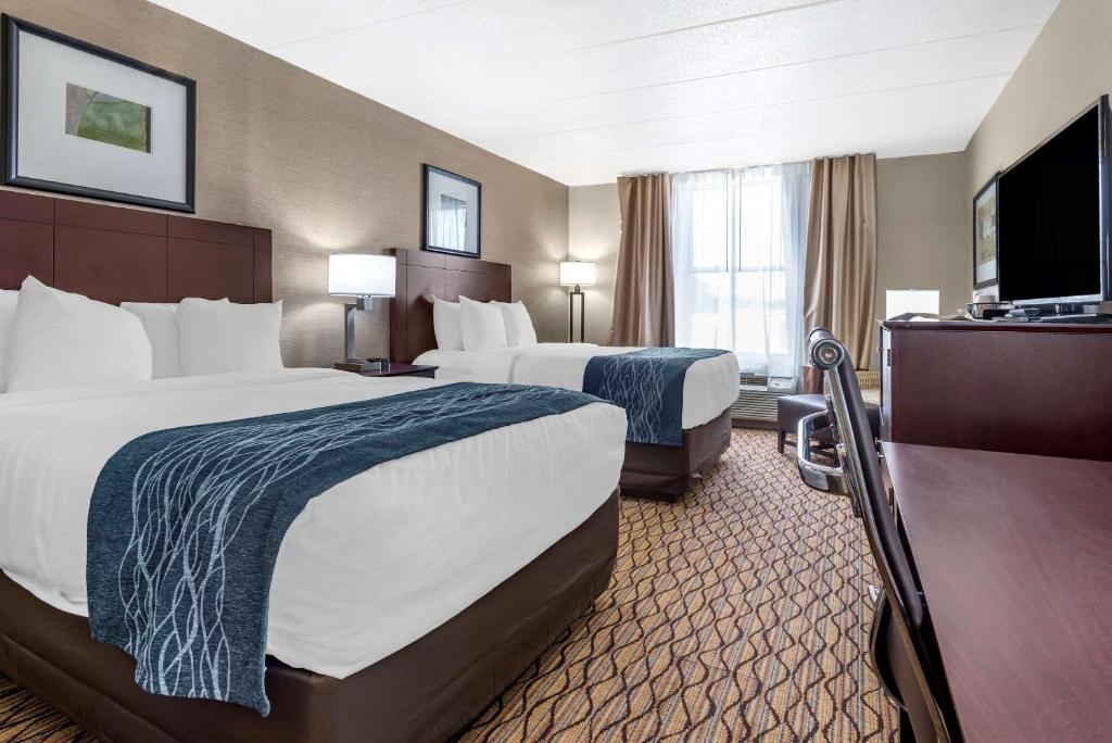 Comfort Inn & Suites Glen Mills - Philadelphia - image 6