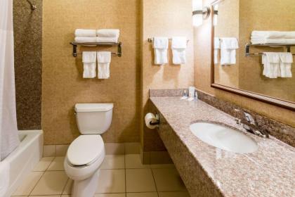 Comfort Inn & Suites near Comanche Peak - image 9