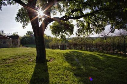 Live Oak B&B - image 11