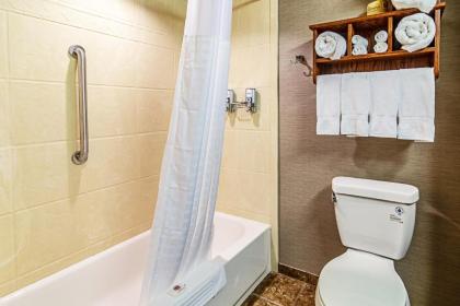 Astoria Hotel & Suites - Glendive - image 13