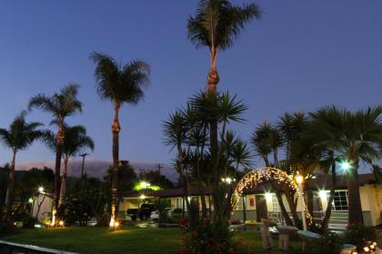 Palm Tropics Motel - image 10