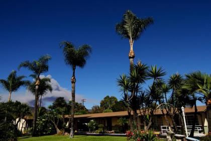 Palm Tropics Motel - image 6