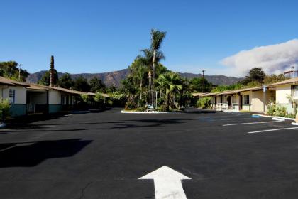 Palm Tropics Motel - image 7