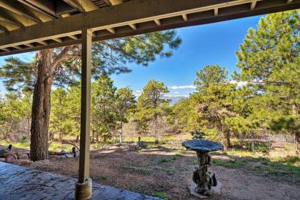 Spacious Black Forest Apt 11 Mi from USAFA! - image 9