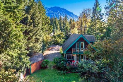 New! Riverfront Cabin near Hiking and Stevens Pass - image 4