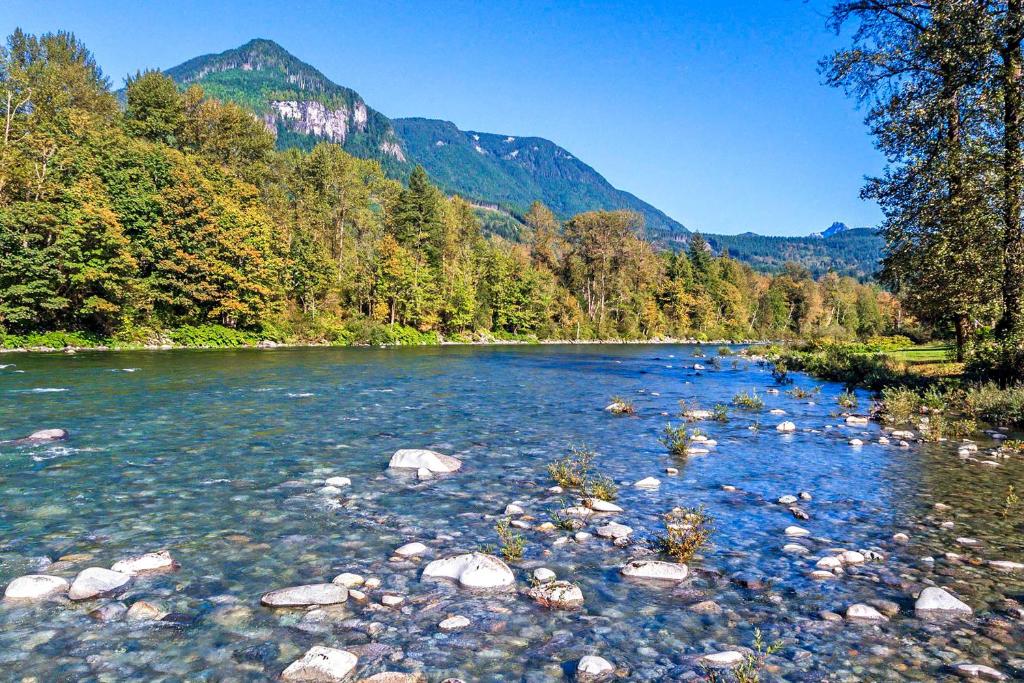 New! Riverfront Cabin near Hiking and Stevens Pass - image 7