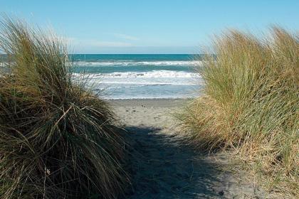 Gold Beach Inn - image 8