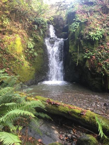 Taylor Creek Lodge Gold Beach Oregon