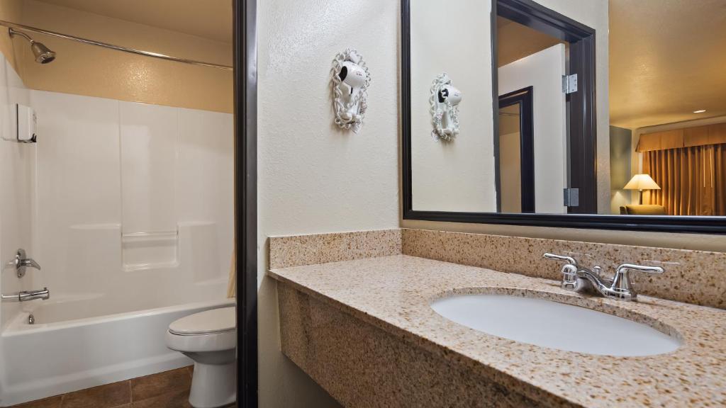 Best Western Regency Inn & Suites - image 6