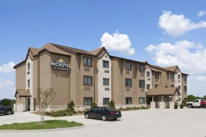 Microtel Inn & Suites Gonzales - image 1