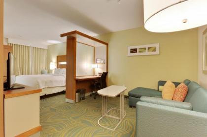 SpringHill Suites by Marriott Baton Rouge Gonzales - image 13