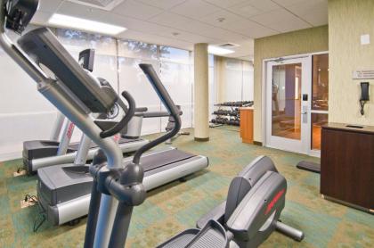 SpringHill Suites by Marriott Baton Rouge Gonzales - image 3