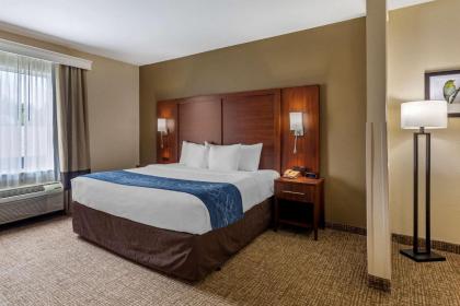 Comfort Suites At Rivergate Mall - image 10