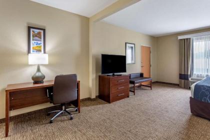 Comfort Suites At Rivergate Mall - image 13