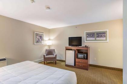 Quality Inn & Suites - image 10