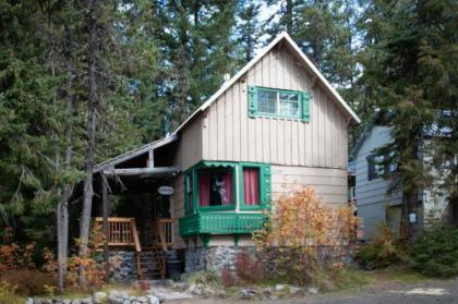 The Wilcox Cabin - image 5